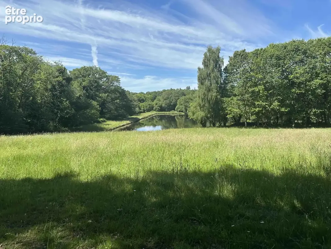 Rare opportunité – ensemble immobilier avec potentiel locatif et étang de pêche - photo 19