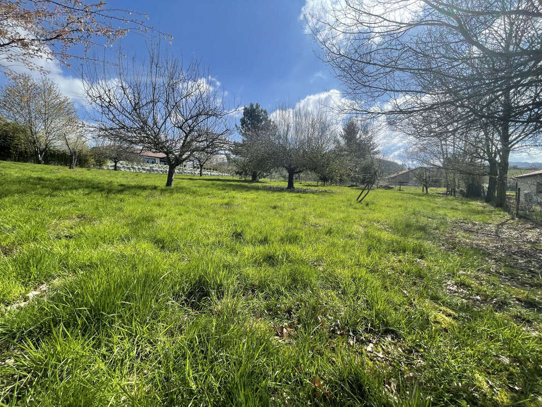 Photo 5 - Terrain à CUBLIZE