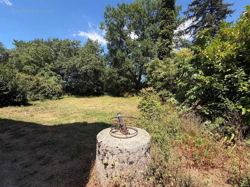 MARCIAC(32): ancienne SEIGNEURIE avec BEAU CHATEAU XIV sur 3,5ha, cachée, au bout du chemin, sans voisin, en campagne, 500m2 hab - photo 54