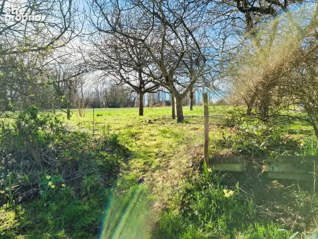 Belle maison en pierres avec grange - photo 29