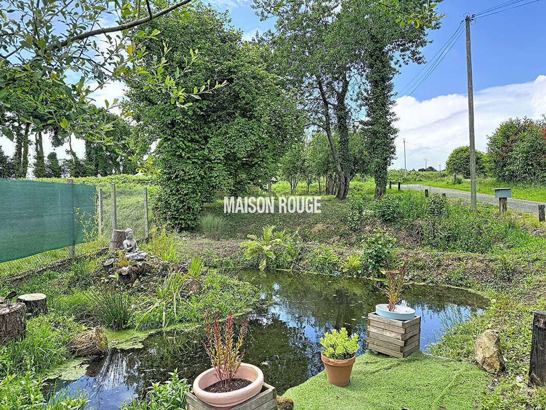 Maison en pierres avec potentiel  d'aménagement sur grand terrain - photo 16