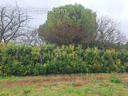 Terrain à SAINT-SULPICE-DE-ROYAN