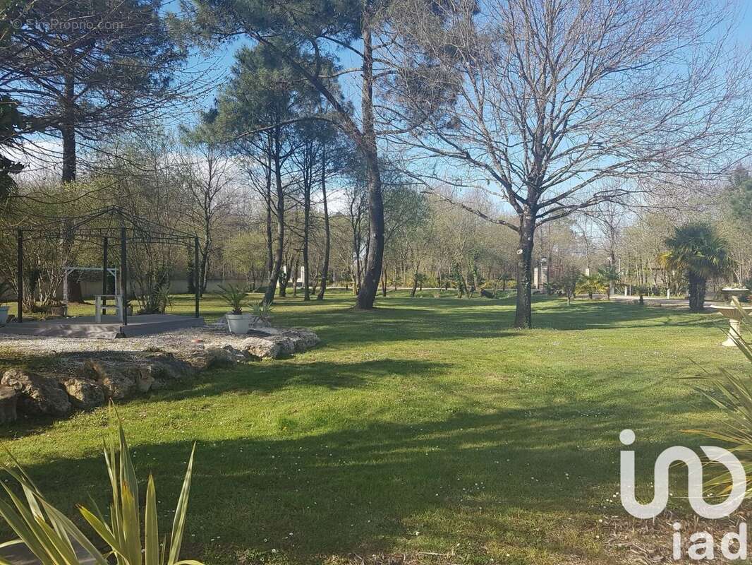 Photo 3 - Maison à ARSAC