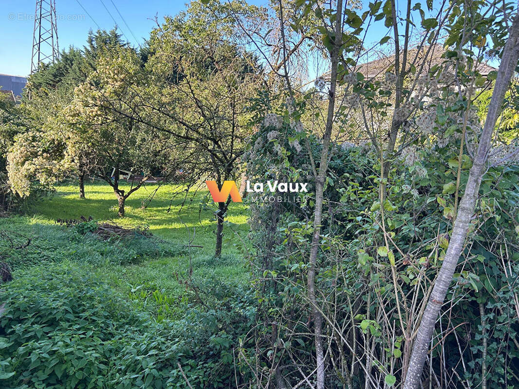 Terrain à NEUVES-MAISONS