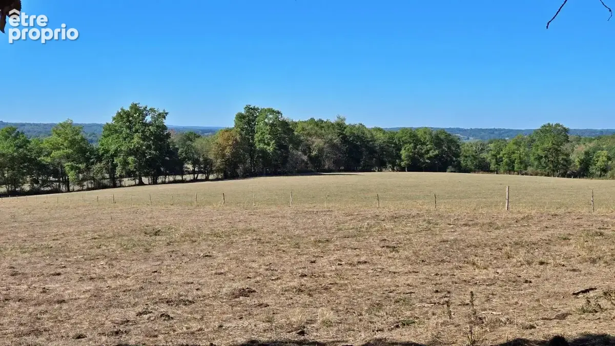 Terrain de loisir boisé 2.3Ha + Source - Proche Limoges - photo 9