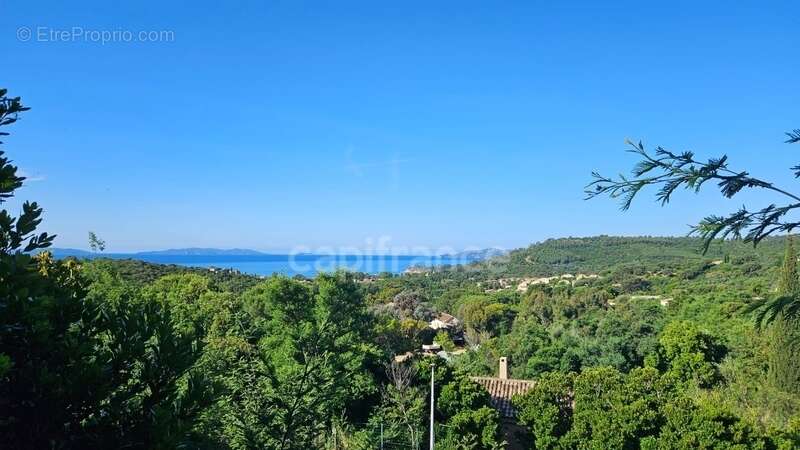 Terrain à LE LAVANDOU