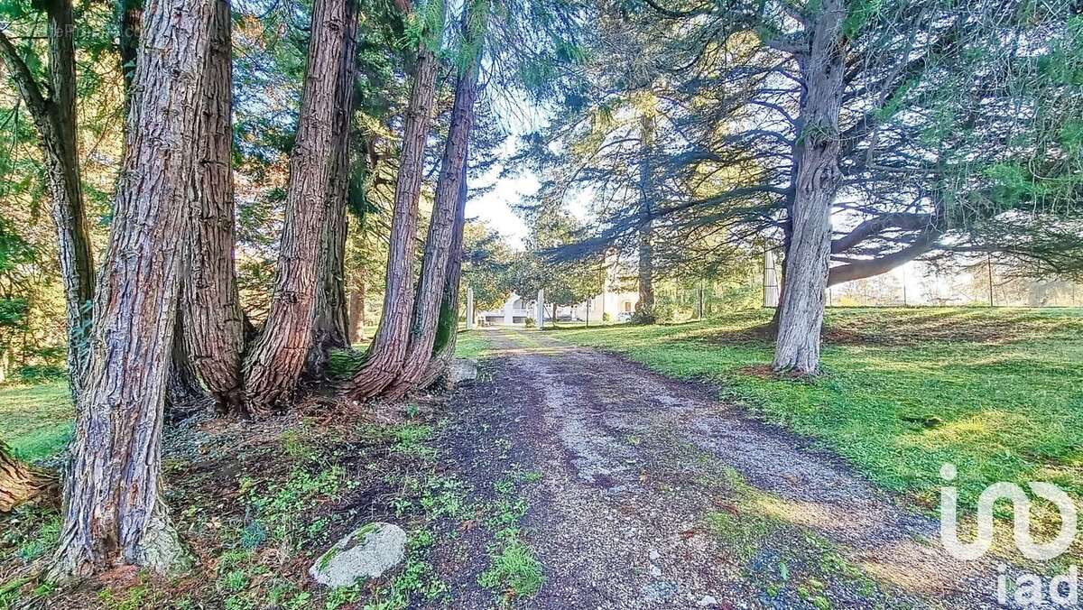 Photo 2 - Maison à MONTRICOUX