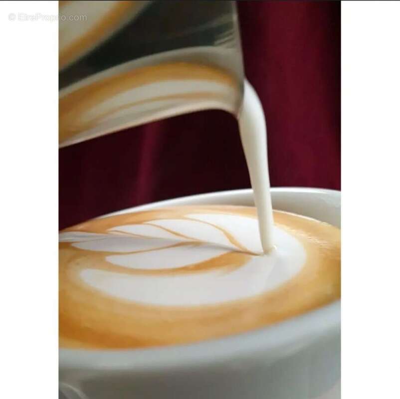 Photo 9 - Commerce à RIVEDOUX-PLAGE