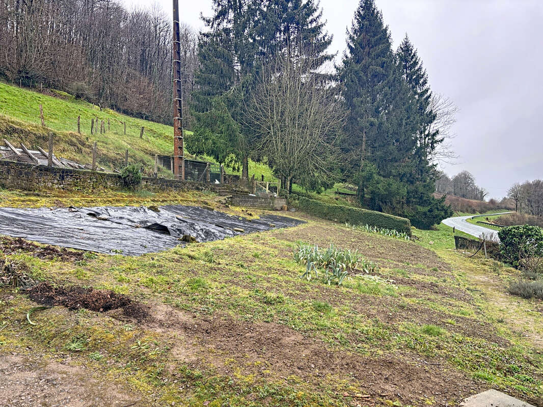 Maison à JUVIGNY-LE-TERTRE