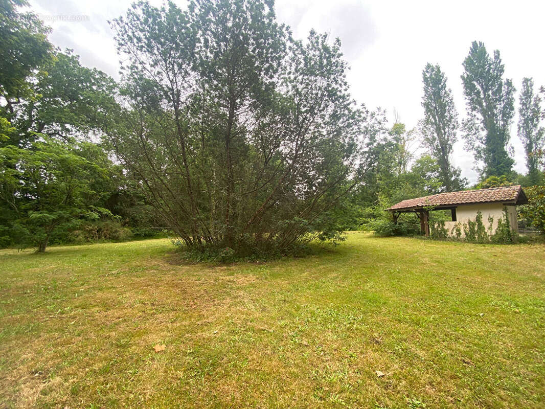 Maison à SAUGNACQ-ET-MURET