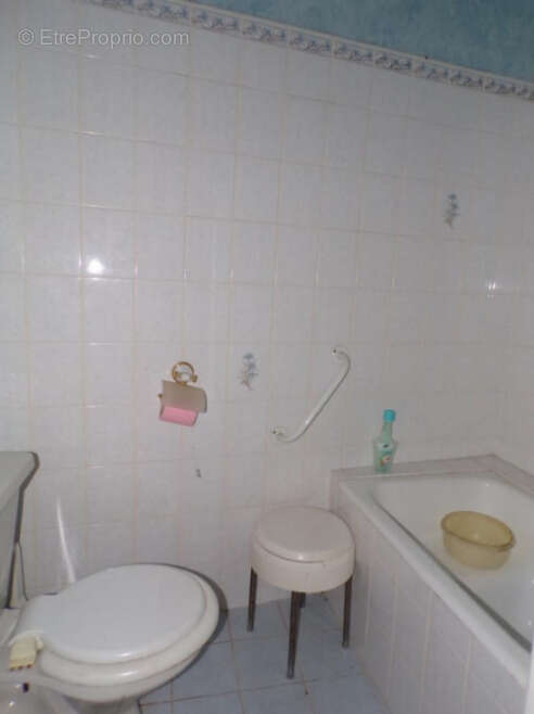 Maison 325 m² à Le Tech  - photo 9