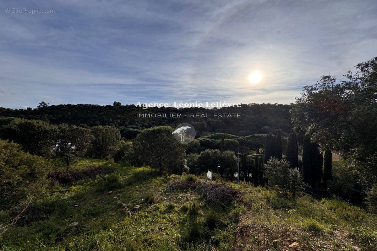 Terrain à LES ISSAMBRES