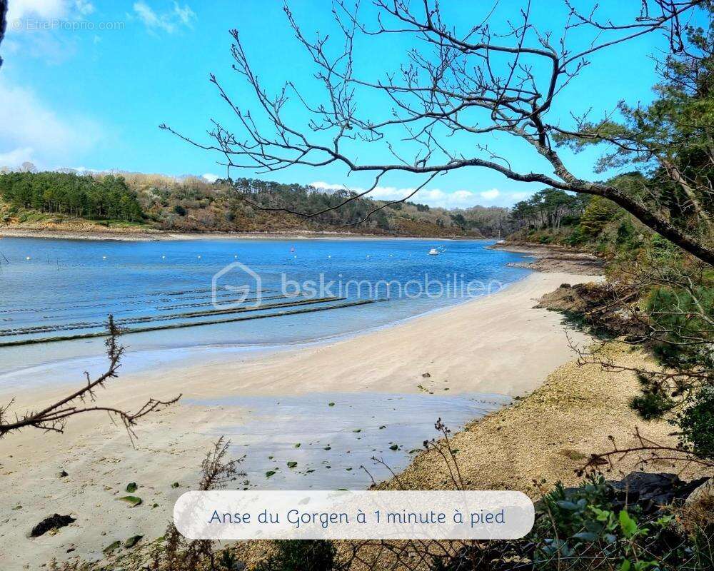 MOELAN SUR MER - Kerfany - Maison 71m2 sur plus de 1500m2 de terrain - photo 4