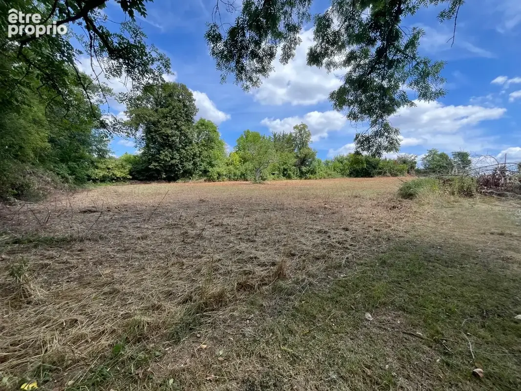 Terrain 2 085 m² à vendre à Razac-Sur-L'isle (24430) - photo 297