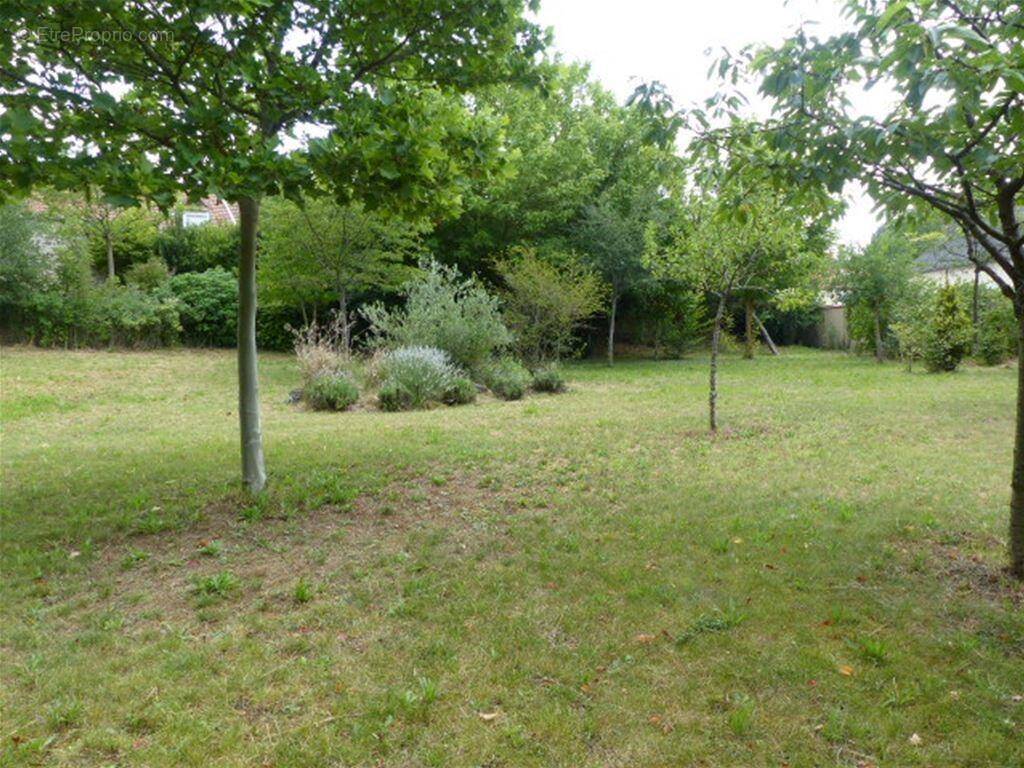 Très beau terrain constructible d'une surface de 1 118 m² - Terrain à PRESLES-ET-THIERNY