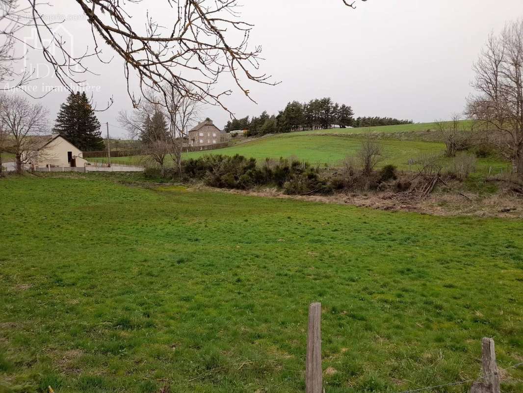 Terrain à LES LAUBIES