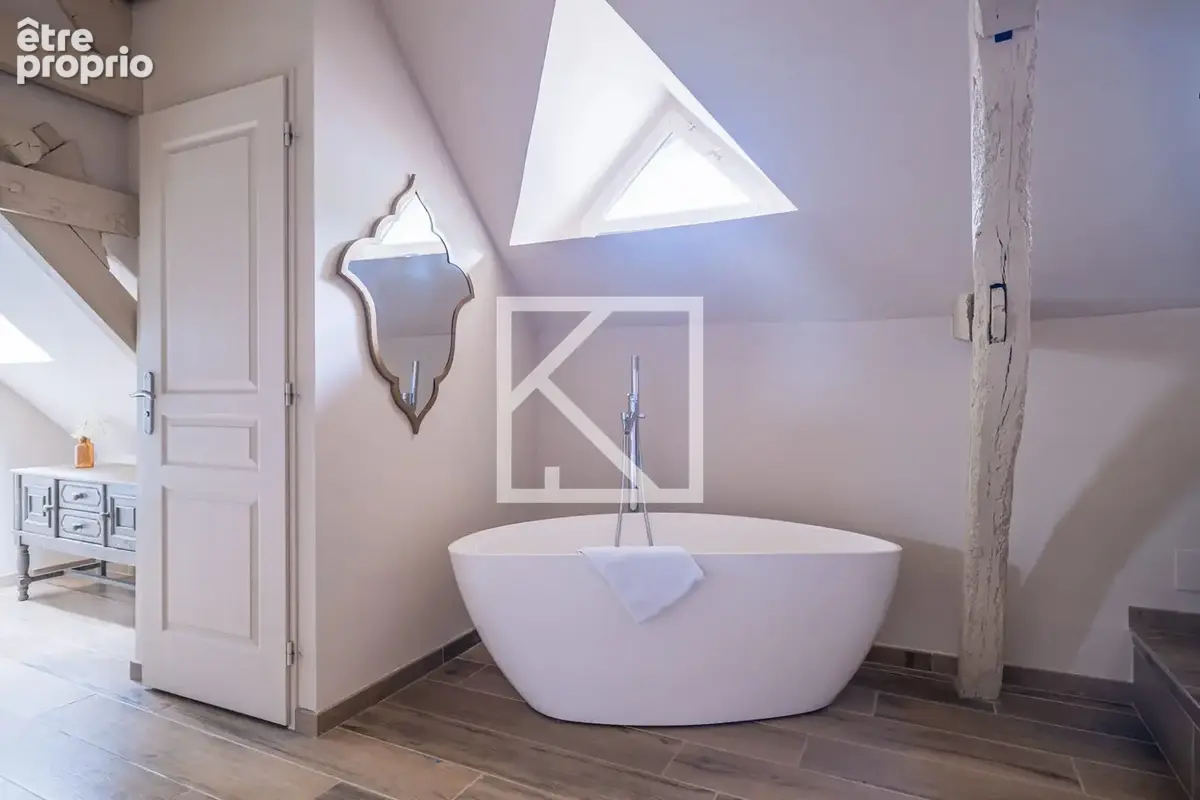 Maison 580 m² à Neuvy-Le-Roi  - photo 9