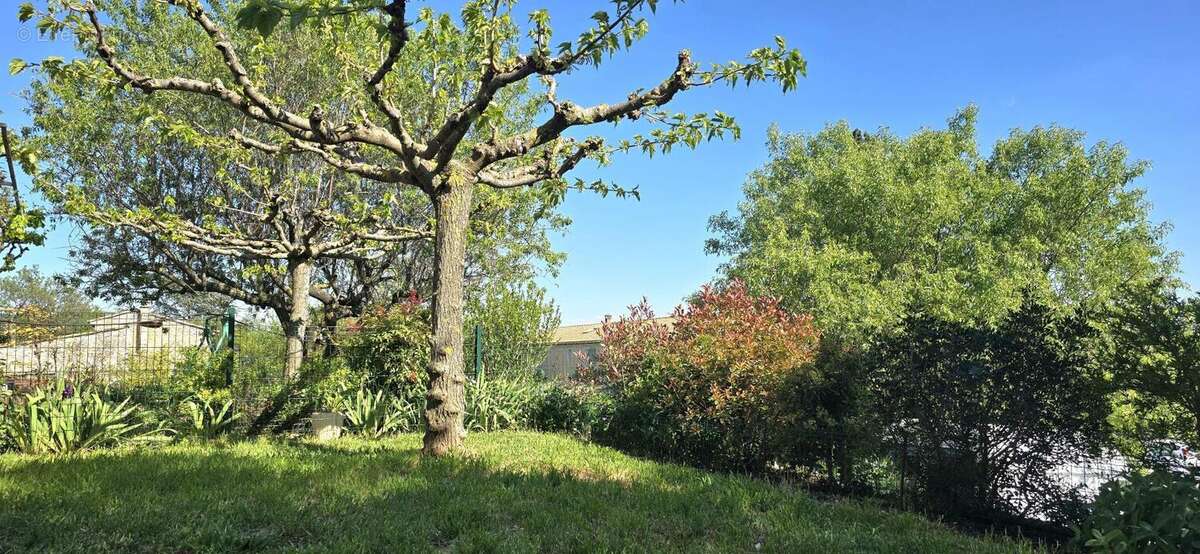 Maison 142 m² à Reillanne  - photo 3