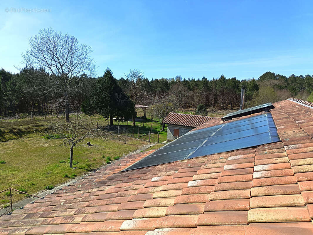 LANDES ATLANTIQUE - Vaste maison & jardin paysager - Rare opportunité - photo 16