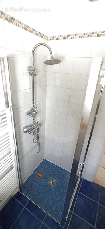 Maison à SAVIGNY-EN-SEPTAINE