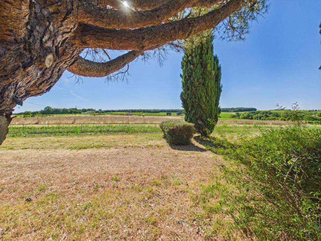Maison 205 m² à Saint-Thomas-De-Conac  - photo 16