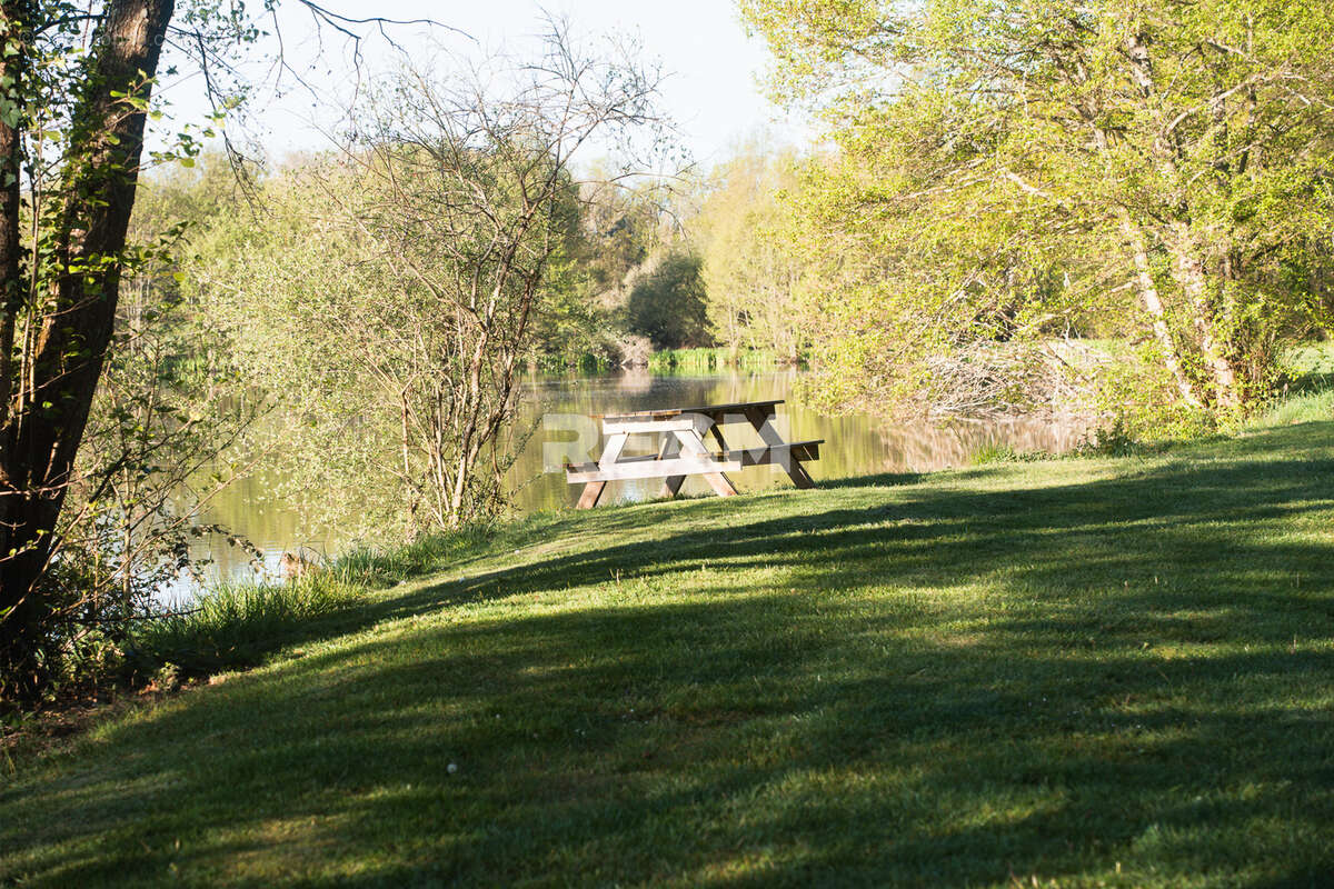 Domaine d’exception de 54,5 hectares avec maison de 300 m2, étang privé, piscine et 1 500 m2 de dépendances - photo 21