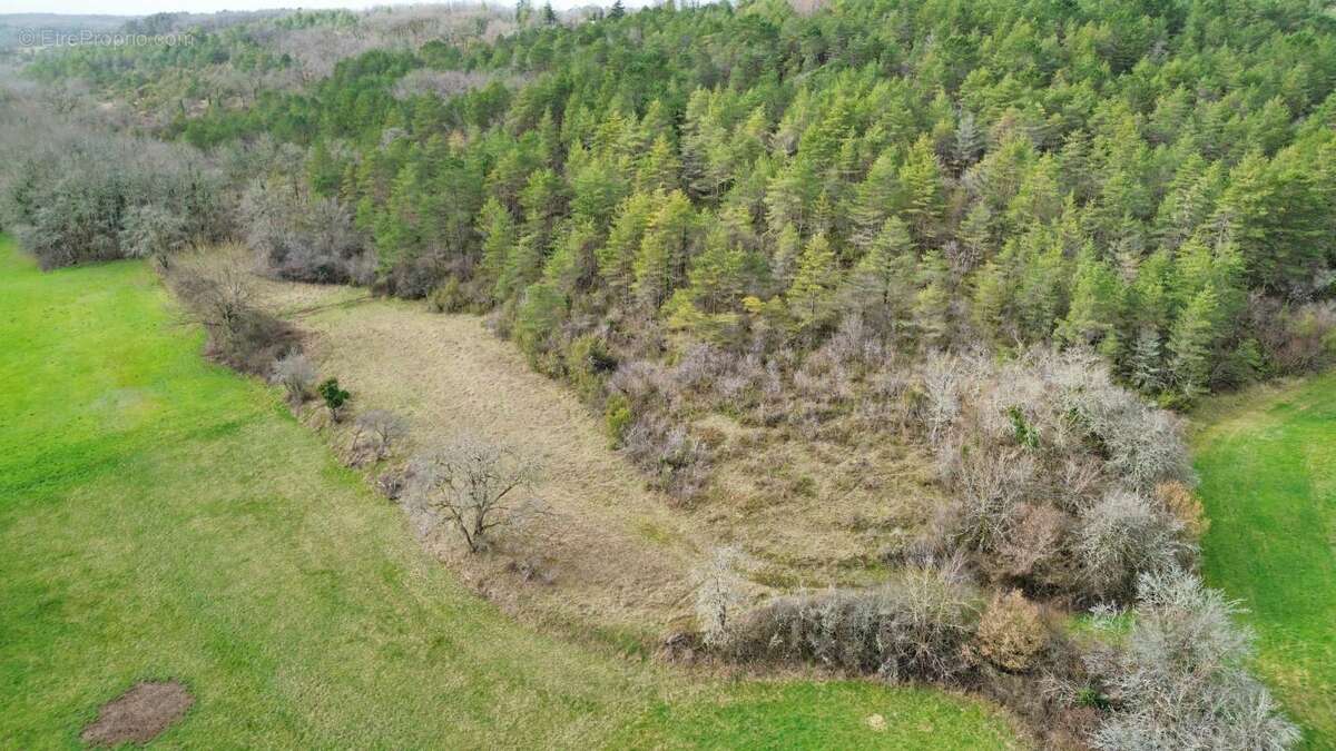 Terrain à SAINTE-ALVERE
