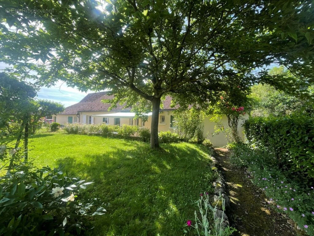 Maison à ARROU
