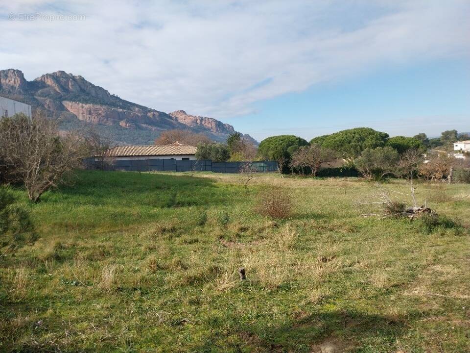 Terrain à ROQUEBRUNE-SUR-ARGENS