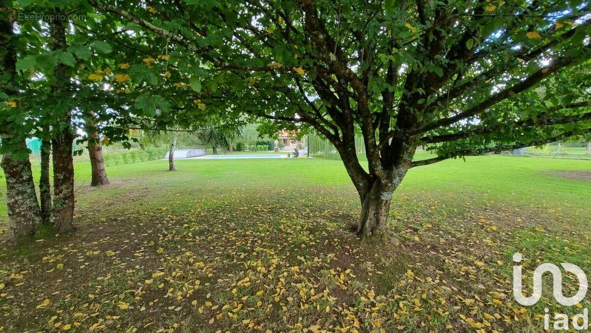 Photo 4 - Maison à SAINT-PEY-DE-CASTETS