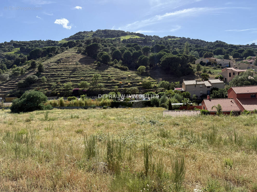 Terrain à COLLIOURE