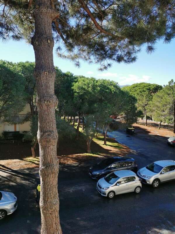 Appartement à ARGELES-SUR-MER