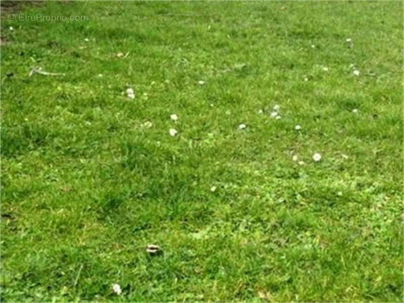 Terrain à L&#039;ORBRIE