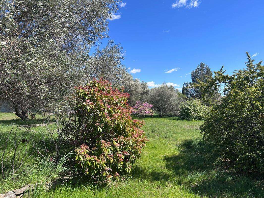 Maison  4 pièce(s) 138.62m2 - photo 17