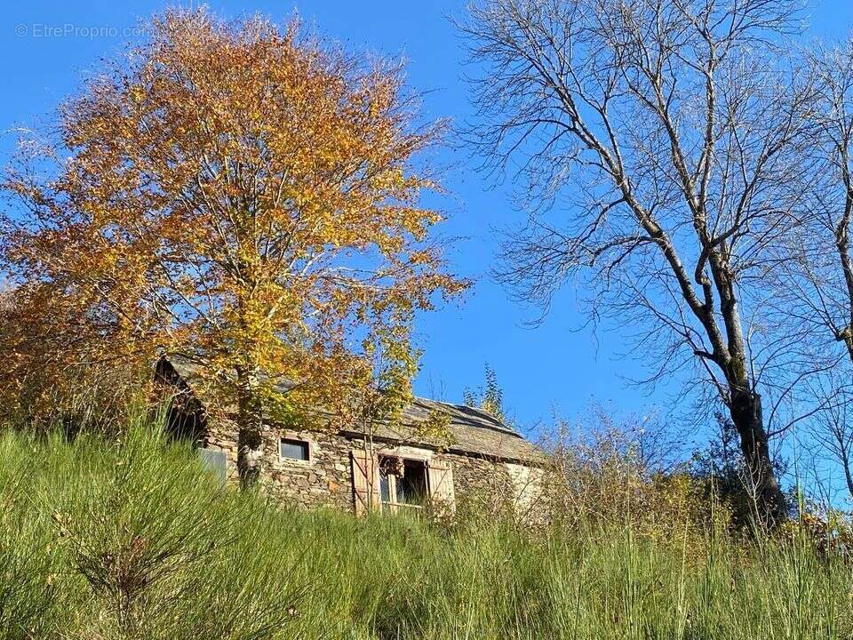 Grange aménagée vue sur l' Arbizon - photo 15