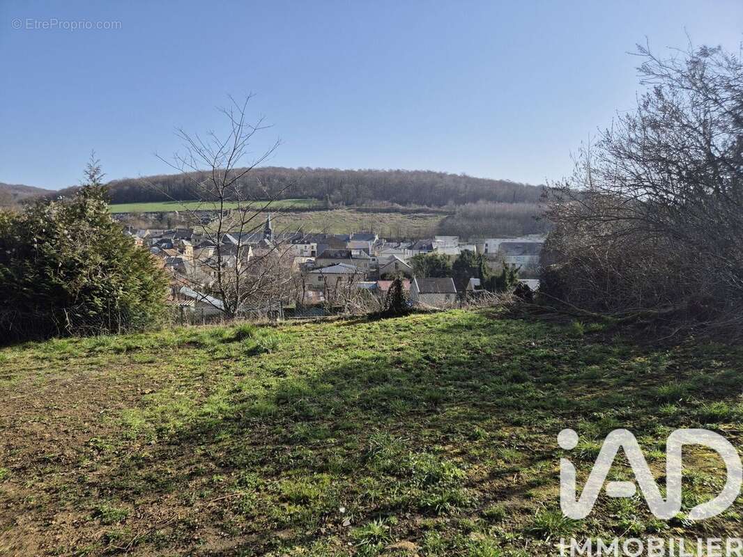 Photo 7 - Terrain à RAUCOURT-ET-FLABA