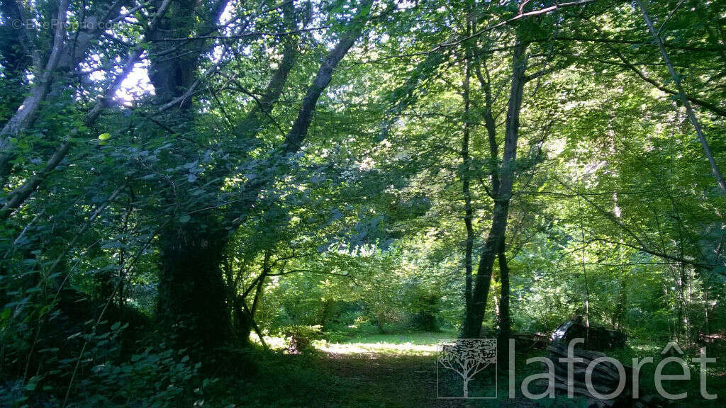 Terrain à NOISY-SUR-ECOLE