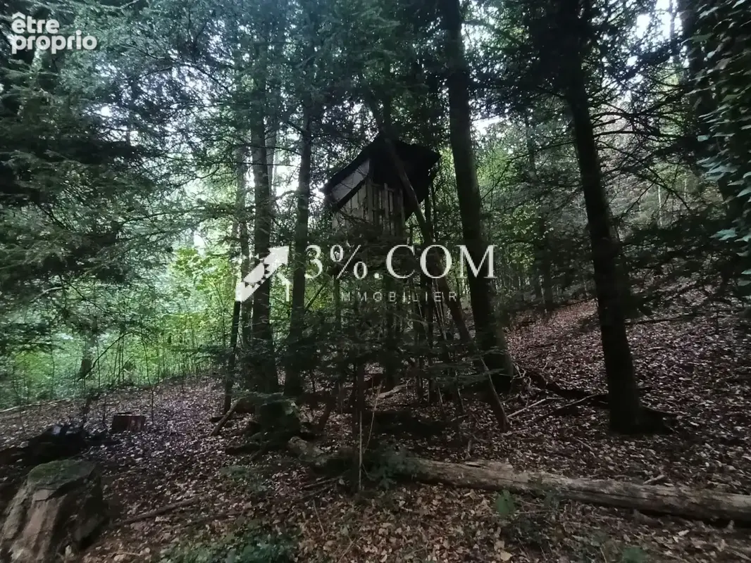 Terrain forestier avec étang sur la commune de Moyenmoutier 88420 - photo 3