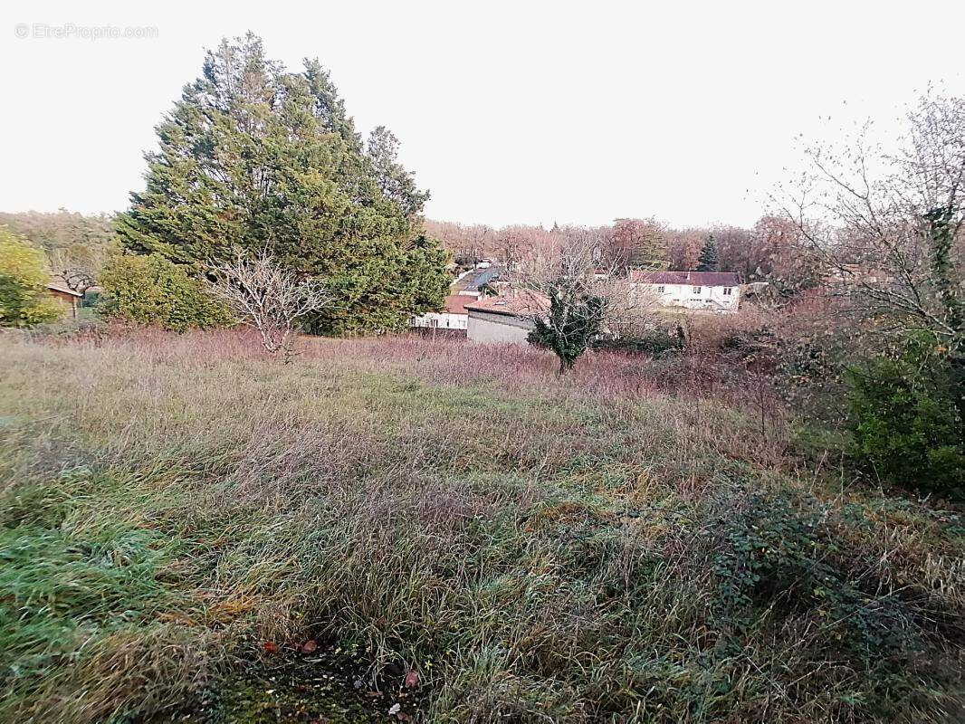 Terrain à CROUTELLE