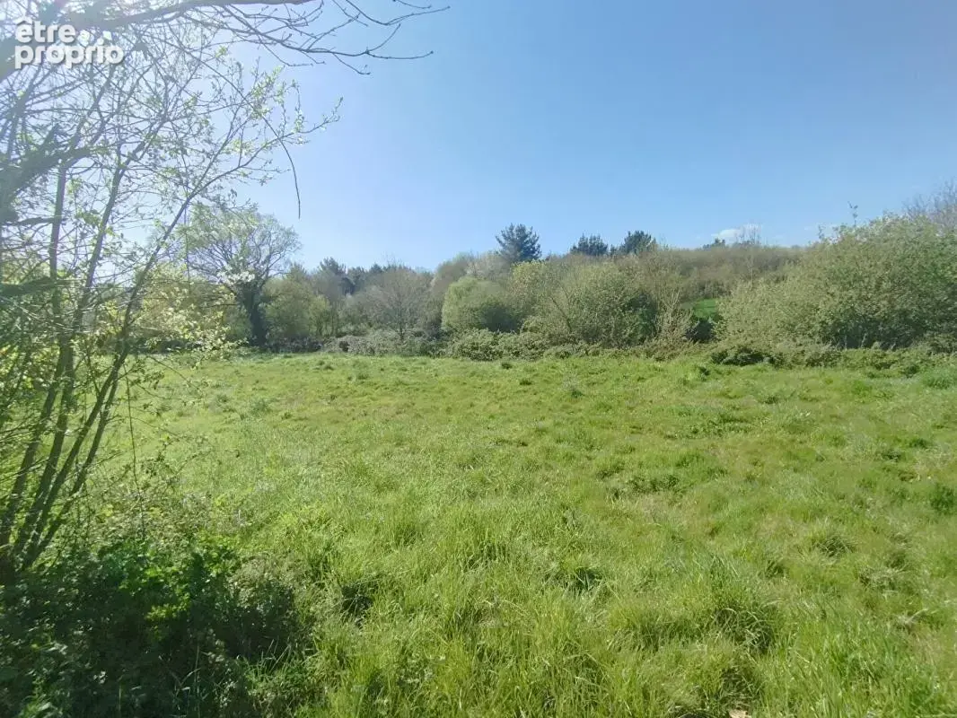 Longère (250m²), dépendances et  hangars (1 500m²), Maumusson ( 44540) - photo 11