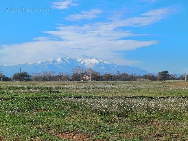 Terrain à VILLENEUVE-DE-LA-RAHO