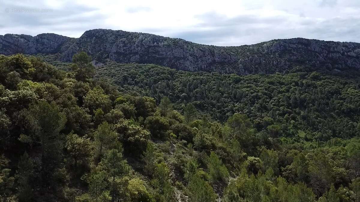 Maison à GENERARGUES