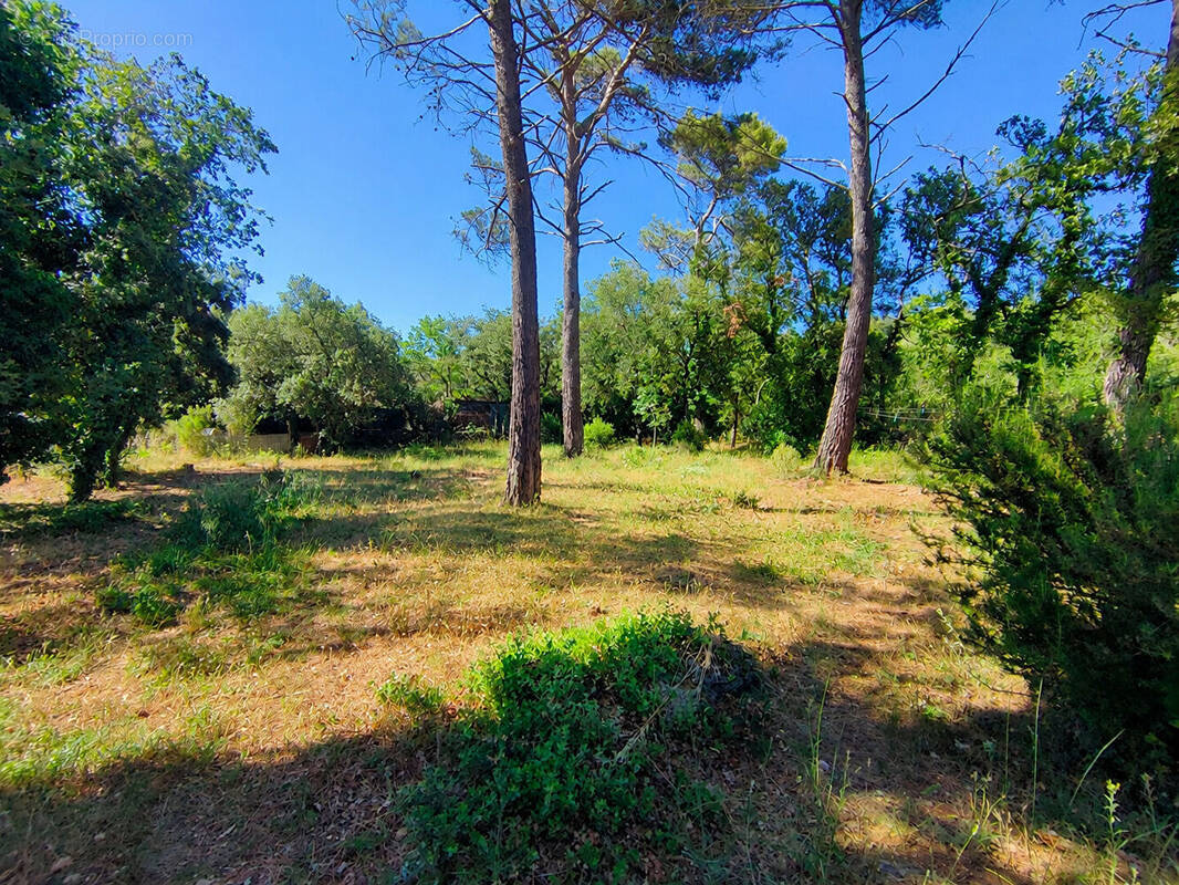 Terrain à GAREOULT