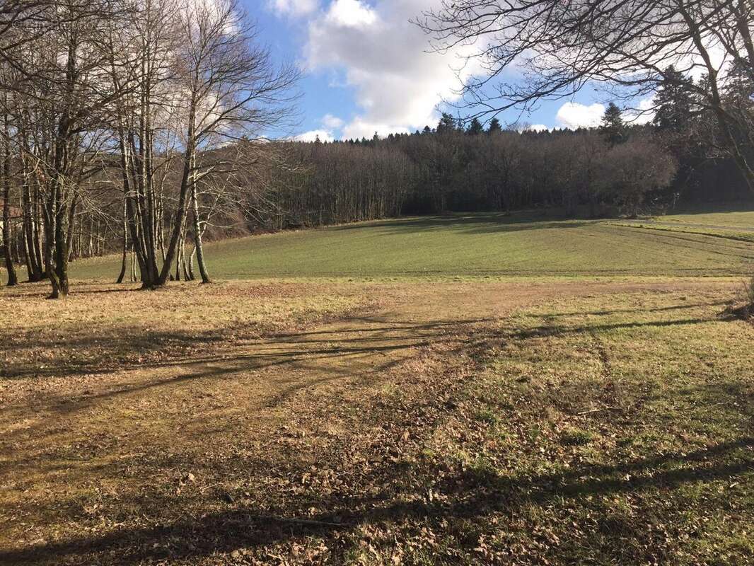 Photo 2 - Terrain à SAINT-SULPICE-LE-DUNOIS