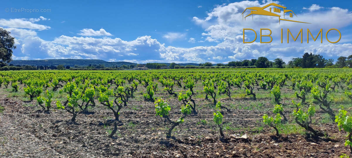 Terrain à SAINTE-CECILE-LES-VIGNES