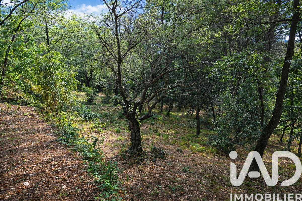 Photo 4 - Terrain à MONTESQUIEU-DES-ALBERES