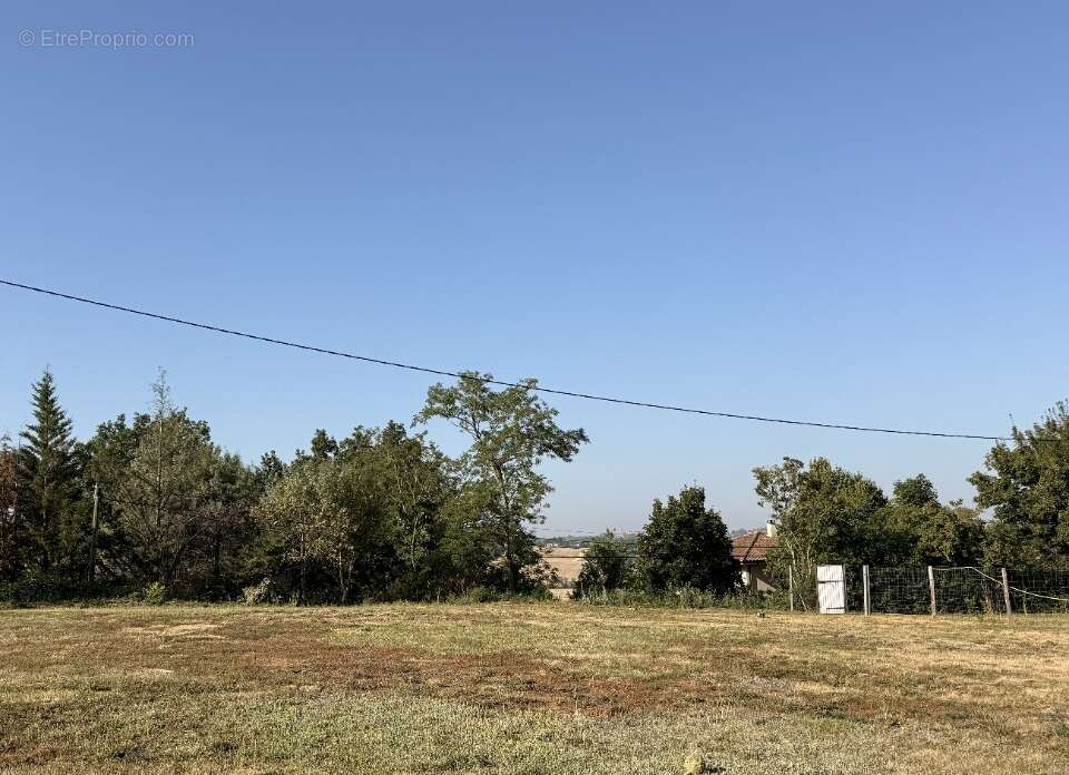 Terrain 1372 m² à Loubens-Lauragais  - photo 2