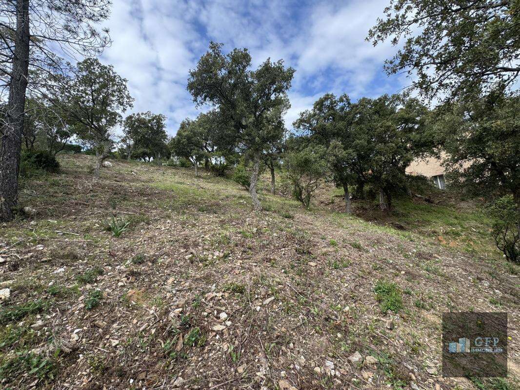Terrain à LA LONDE-LES-MAURES