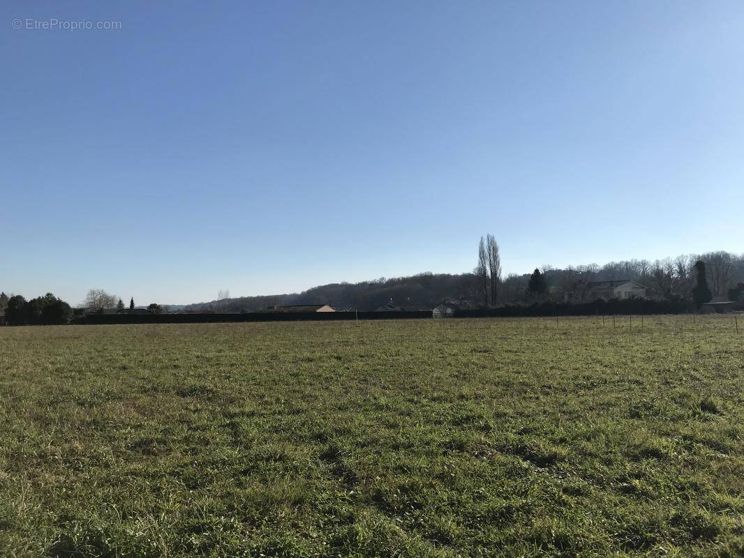Terrain à SAINT-AGNE
