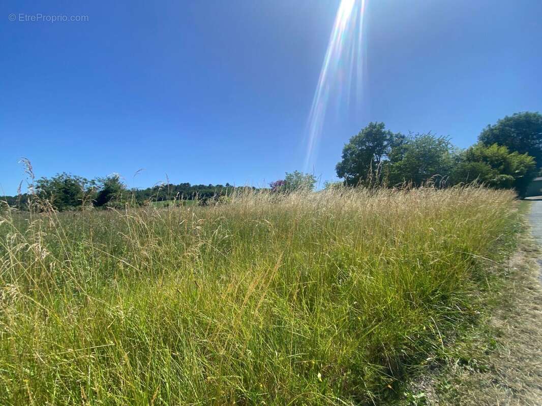 Terrain à bâtir de 1550 m² à LEGUILLAC-DE-L'AUCHE (24) - photo 4